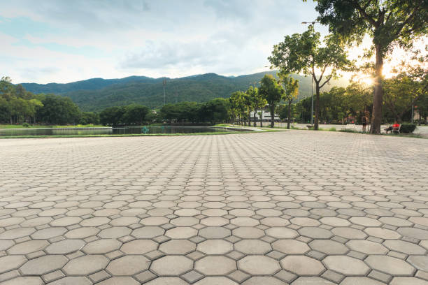 Professional Driveway Pavers in Shell Ridge, CA
