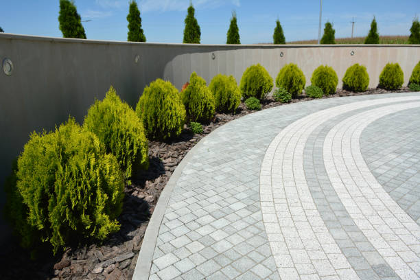 Best Decorative Driveway Pavers  in Shell Ridge, CA